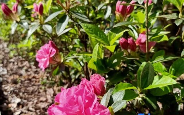 Wuyi Yangchun Shanju Guesthouse