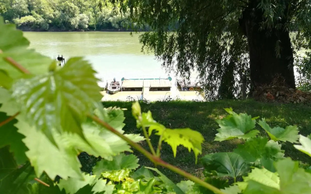 Tiszavirág Vendégház