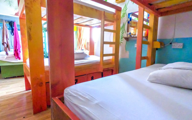 Hostel Malti