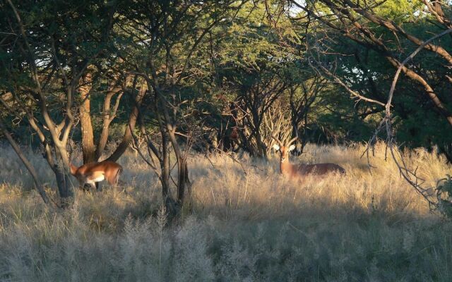 Ohange Namibia Lodge