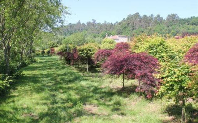 Casa Suárez Turismo Rural