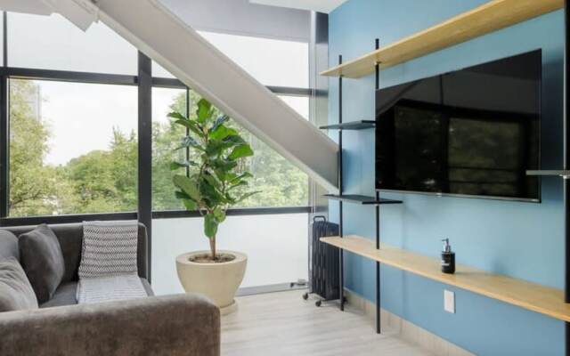 Lovely 2BR Near Polanco