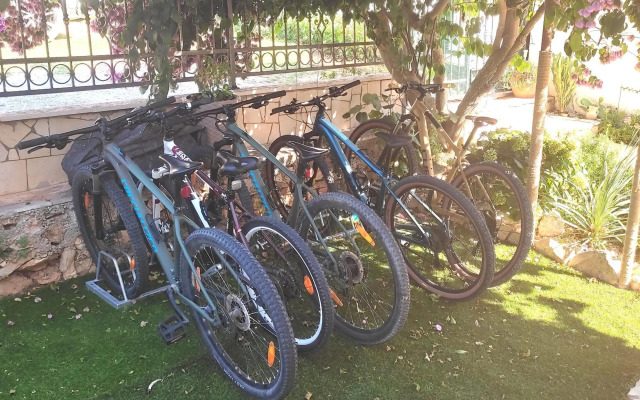 Apartmán Brački cvijet