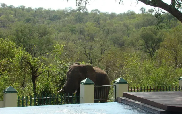 Muweti Bush Lodge