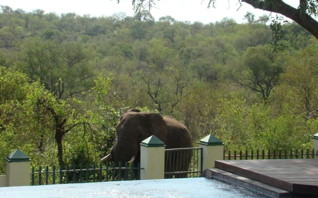 Muweti Bush Lodge