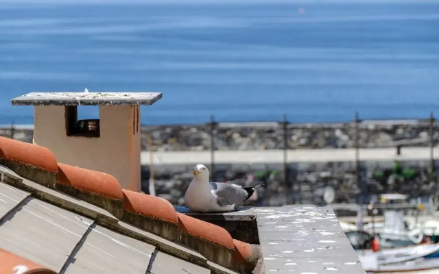 JOIVY Porto Bello a Camogli