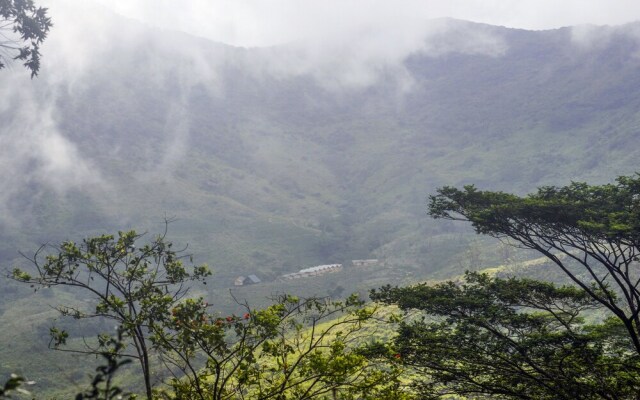 Wild Glamping Knuckles