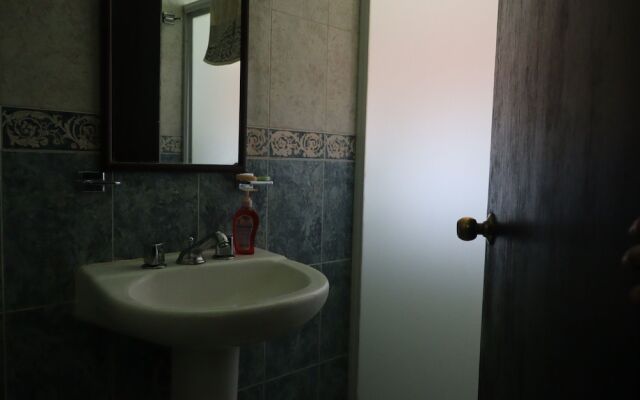 House of Ficus Banderilla,veracruz-mexico