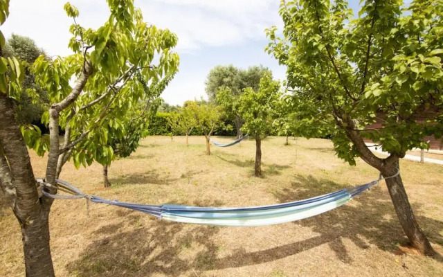 Trullo Degli Ulivi con Piscina e Idromassaggio