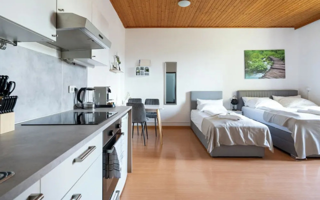 COY Apartments Leoben - Stay Comfortable & Work Smart