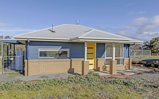 The Friendly Pelican