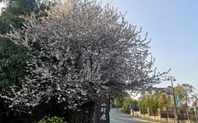 Chongqing Fairy Mountain Homestay