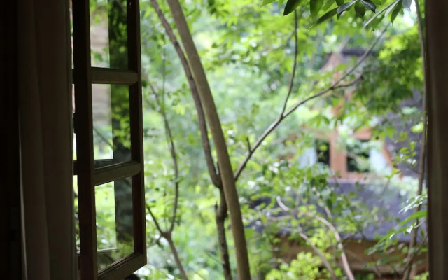 Roots Tree House