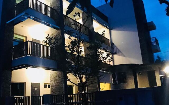 Xitou Bi Xue Shan Lin Homestay