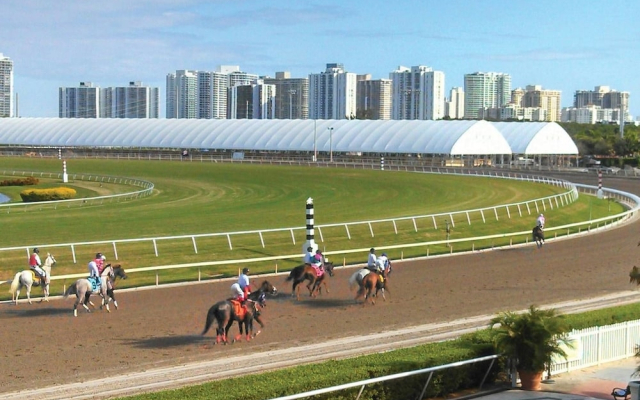 Cozy Studio Hallandale Beach, near the Ocean :)
