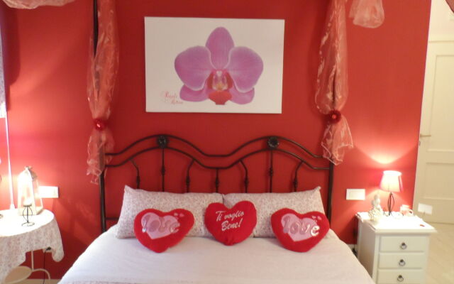 B&B Petali Rosa