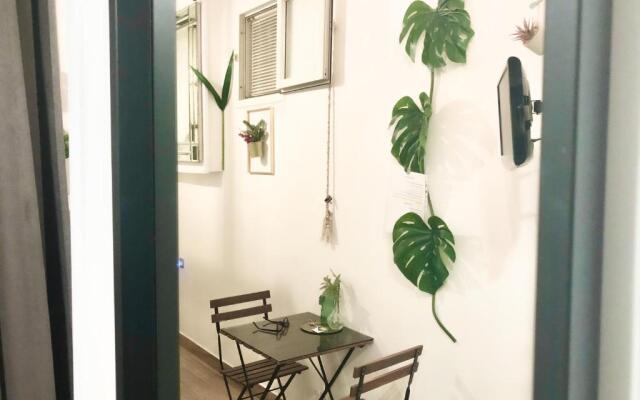 Jungle 13 - Room and Apartments