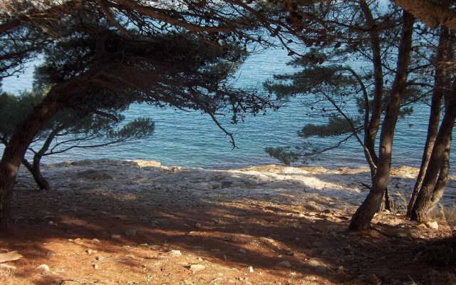 Orange - 30m From Beach - A1