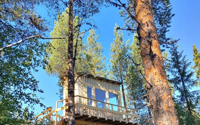 Aurora Lodge