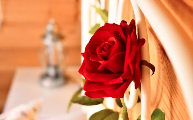 Guest House Torre de Arriba