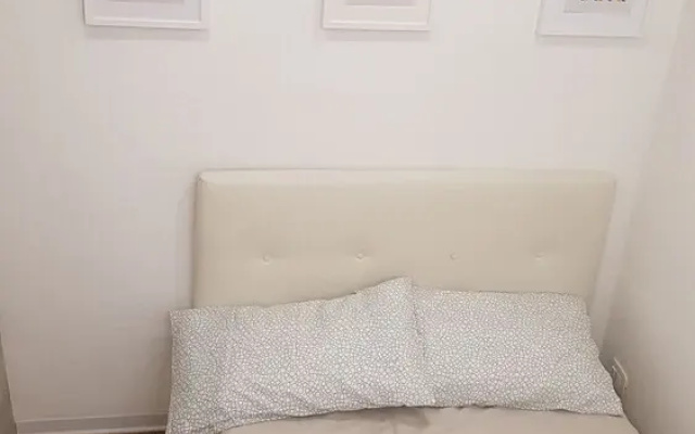 Casa Fox Terrier