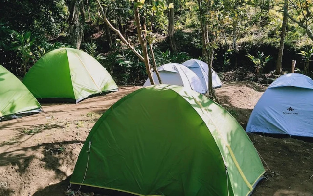 Munnar Jungle Camp