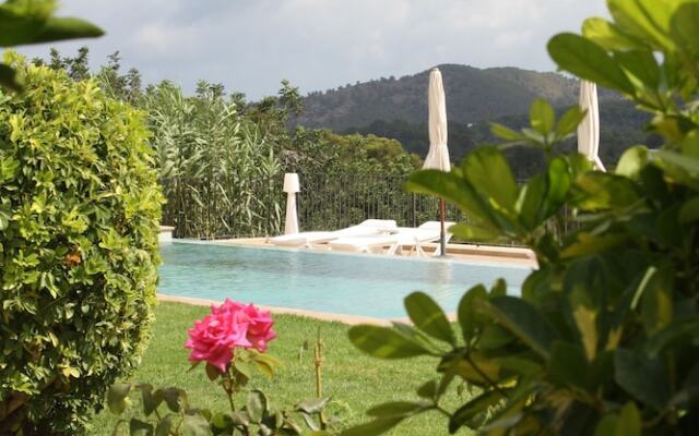 La Pitiusa Agroturismo