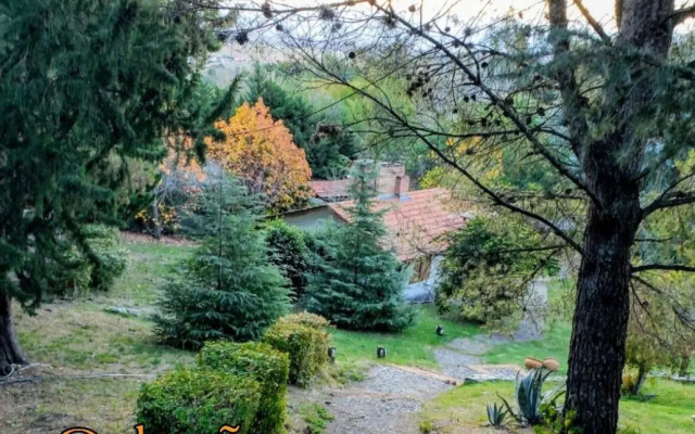 Posada Del Halcon-Cabanas Y Suites