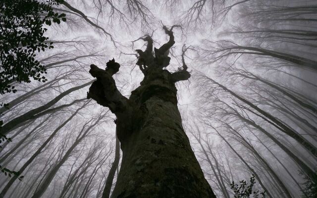 Casa Vacanza Margherita