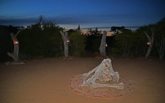 Wild Olive Tree Camp