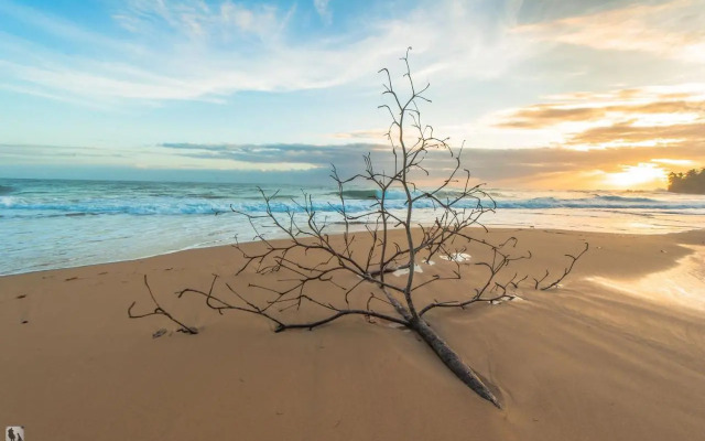 Bocas Condos Rentals