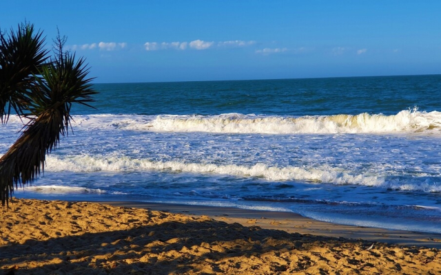 Ap Massachusetts - Penha-SC