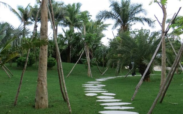 Reclusive Life Phoenix Island