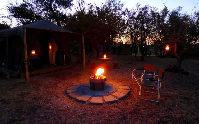 Thorn Tree Bush Camp