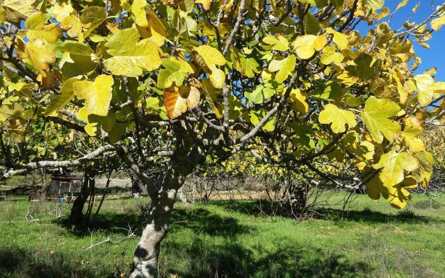 Hotel La Era de Aracena - Adults Only