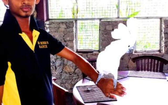 Dr. Mikes Family Ranch