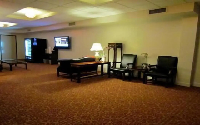 The Hotel 91