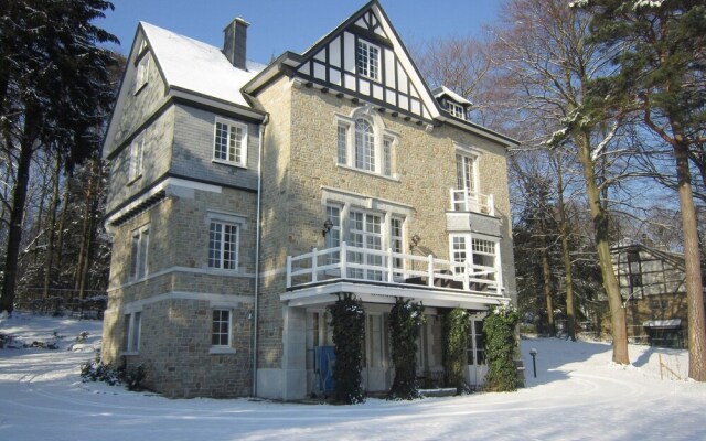 Villa in Spa With Sauna, Recreation and Playroom