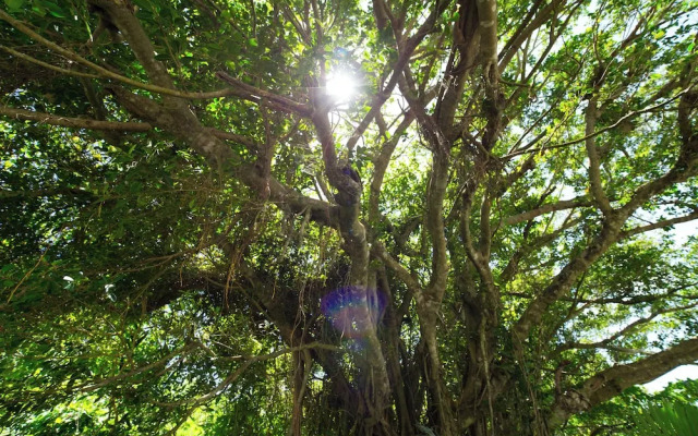 Sun Ishigaki no Yado