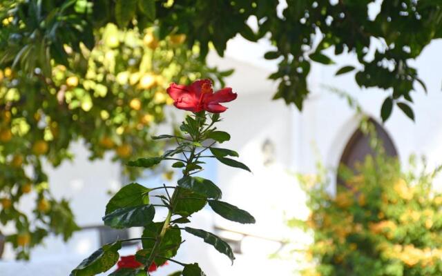 Yellow Jasper - Gemstone Getaway