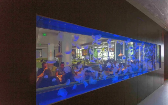 Pelicanstay in W Hotel Ft. Lauderdale