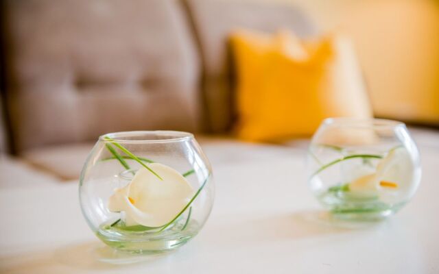 Luxus Apartment Stubenbastei