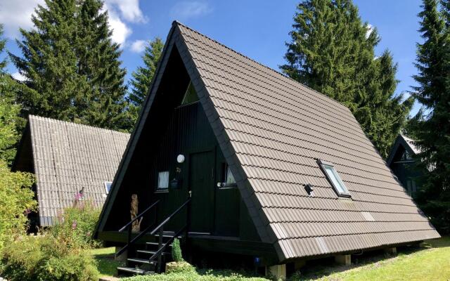 Wooden chalet with oven, in Oberharz near a lake