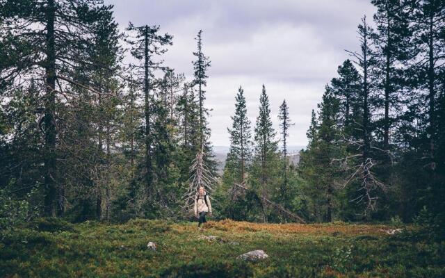 Lapland Hotels Sirkantähti