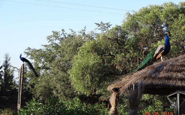 Riad les trois merveilles