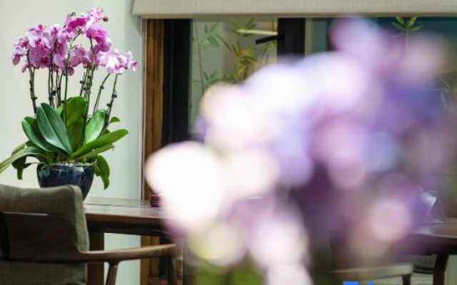 Youyou Qilan Hostel