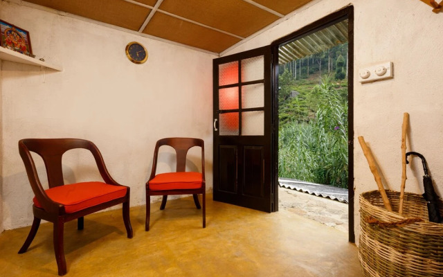 Meena Amma's Tea Experience