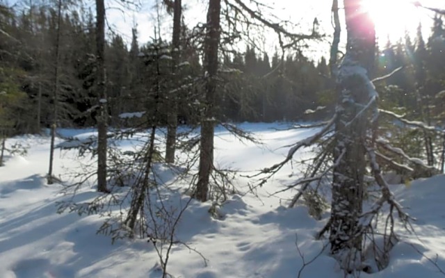 Résidence touristique Lodge des Bois