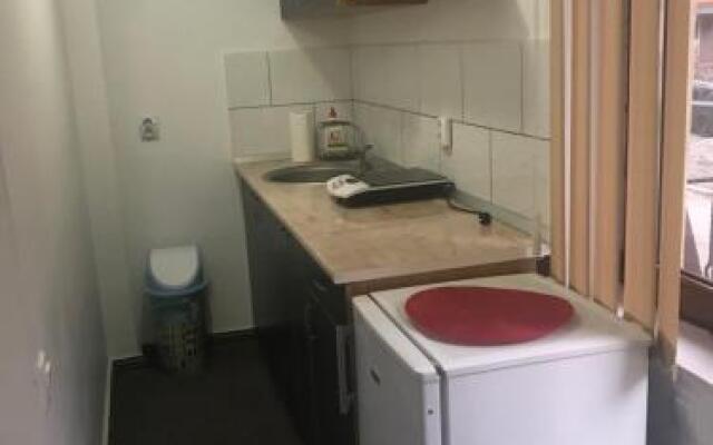 Vila Ammos Apartments Busteni