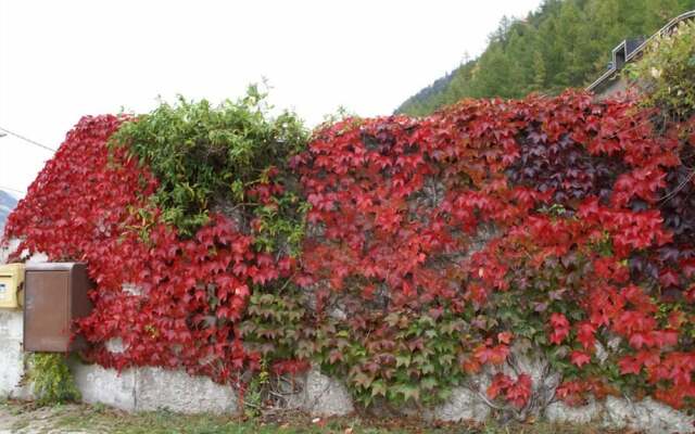 Résidence Le Bellevue